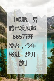 鲲鹏、昇腾已发展超665万开发者，今年将进一步开放