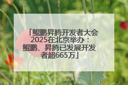 鲲鹏昇腾开发者大会2025在北京举办：鲲鹏、昇腾已发展开发者超665万