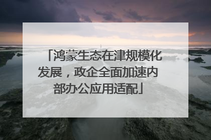 鸿蒙生态在津规模化发展，政企全面加速内部办公应用适配