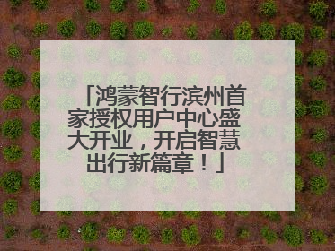鸿蒙智行滨州首家授权用户中心盛大开业，开启智慧出行新篇章！