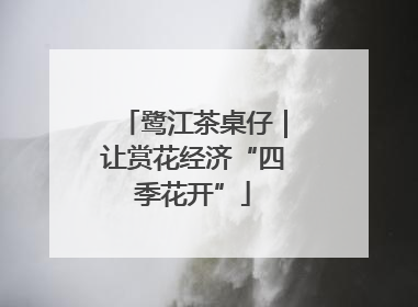 鹭江茶桌仔｜让赏花经济“四季花开”