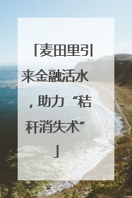 麦田里引来金融活水，助力“秸秆消失术”