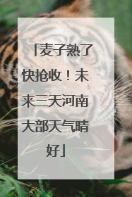 麦子熟了快抢收！未来三天河南大部天气晴好
