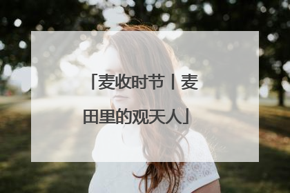 麦收时节丨麦田里的观天人