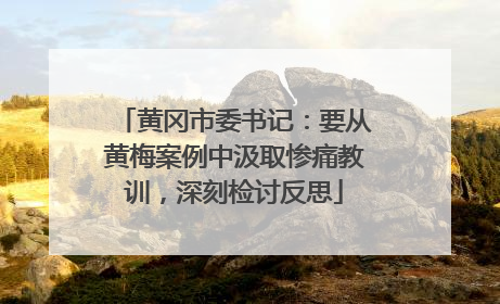 黄冈市委书记：要从黄梅案例中汲取惨痛教训，深刻检讨反思