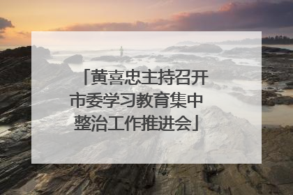 黄喜忠主持召开市委学习教育集中整治工作推进会