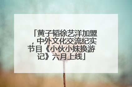 黄子韬徐艺洋加盟，中外文化交流纪实节目《小伙小妹换游记》六月上线