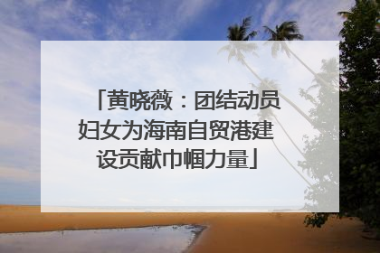 黄晓薇：团结动员妇女为海南自贸港建设贡献巾帼力量
