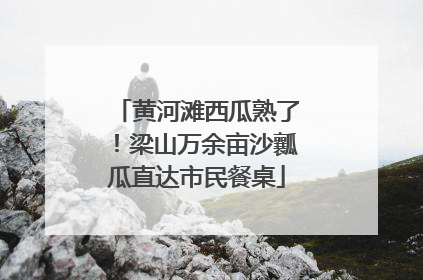 黄河滩西瓜熟了！梁山万余亩沙瓤瓜直达市民餐桌