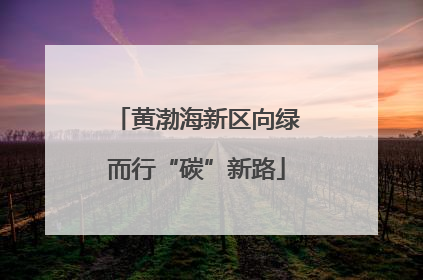 黄渤海新区向绿而行“碳”新路