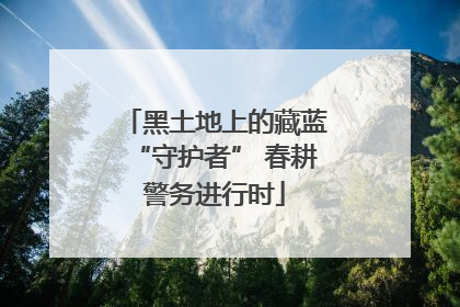 黑土地上的藏蓝“守护者” 春耕警务进行时