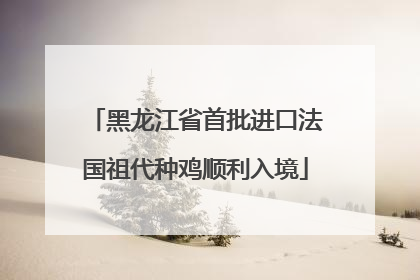 黑龙江省首批进口法国祖代种鸡顺利入境