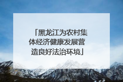 黑龙江为农村集体经济健康发展营造良好法治环境