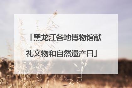 黑龙江各地博物馆献礼文物和自然遗产日