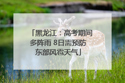 黑龙江：高考期间多阵雨 8日需预防东部风雹天气