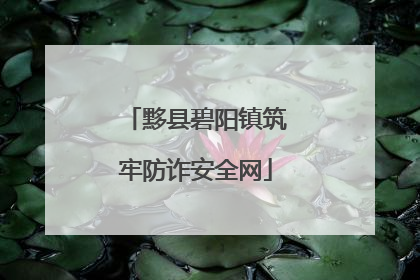 黟县碧阳镇筑牢防诈安全网