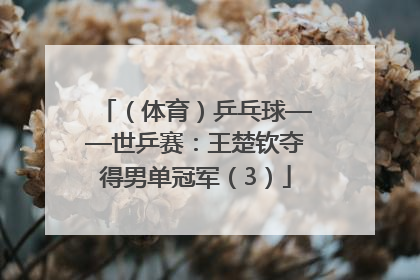 （体育）乒乓球——世乒赛：王楚钦夺得男单冠军（3）