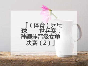 （体育）乒乓球——世乒赛：孙颖莎晋级女单决赛（2）