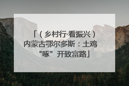（乡村行·看振兴）内蒙古鄂尔多斯：土鸡“啄”开致富路