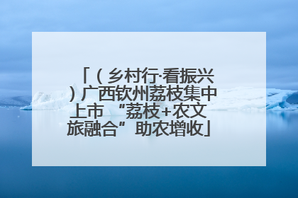 （乡村行·看振兴）广西钦州荔枝集中上市 “荔枝+农文旅融合”助农增收