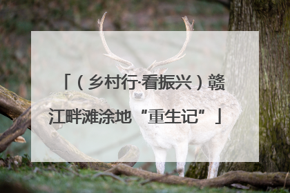 （乡村行·看振兴）赣江畔滩涂地“重生记”