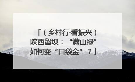 （乡村行·看振兴）陕西留坝：“满山绿”如何变“口袋金”？