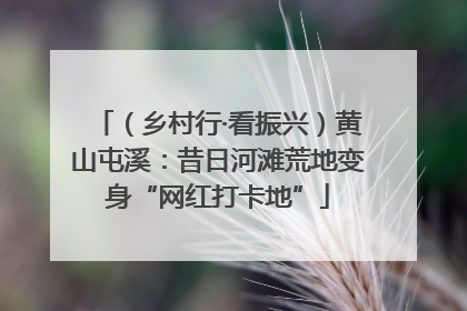 （乡村行·看振兴）黄山屯溪：昔日河滩荒地变身“网红打卡地”