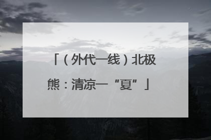 （外代一线）北极熊：清凉一“夏”