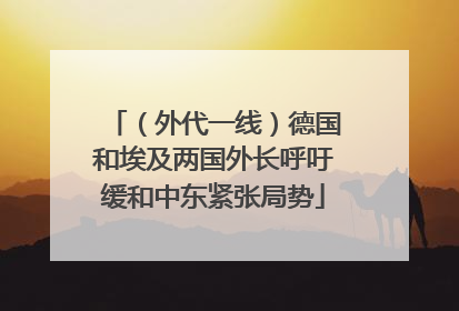 （外代一线）德国和埃及两国外长呼吁缓和中东紧张局势