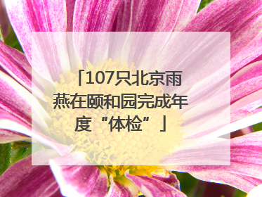107只北京雨燕在颐和园完成年度“体检”