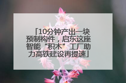 10分钟产出一块预制构件，启东这座智能“积木”工厂助力高铁建设再提速