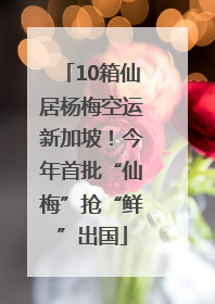 10箱仙居杨梅空运新加坡！今年首批“仙梅”抢“鲜”出国
