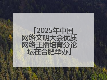 2025年中国网络文明大会优质网络主播培育分论坛在合肥举办