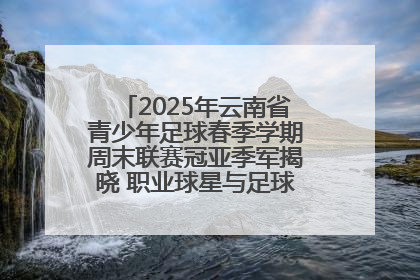 2025年云南省青少年足球春季学期周末联赛冠亚季军揭晓 职业球星与足球小将共享荣耀时刻