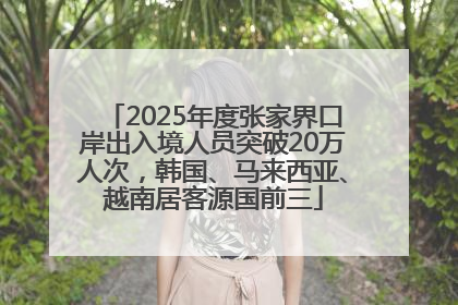 2025年度张家界口岸出入境人员突破20万人次，韩国、马来西亚、越南居客源国前三