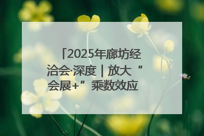 2025年廊坊经洽会·深度｜放大“会展+”乘数效应 打造消费新场景