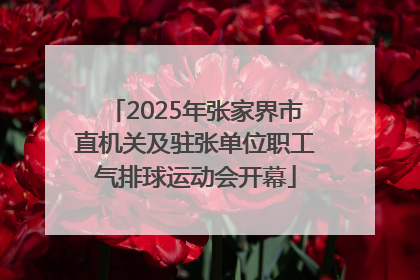 2025年张家界市直机关及驻张单位职工气排球运动会开幕