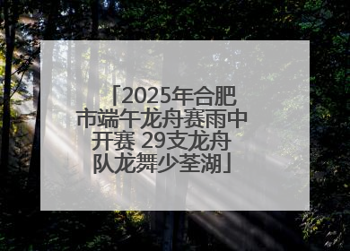 2025年合肥市端午龙舟赛雨中开赛 29支龙舟队龙舞少荃湖