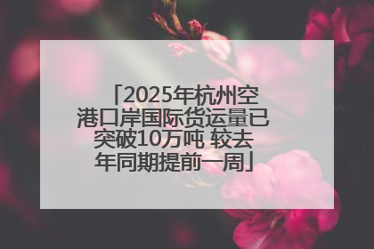 2025年杭州空港口岸国际货运量已突破10万吨 较去年同期提前一周