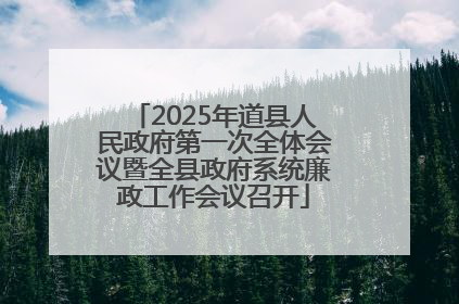 2025年道县人民政府第一次全体会议暨全县政府系统廉政工作会议召开