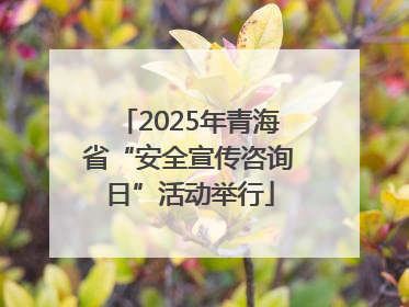 2025年青海省“安全宣传咨询日”活动举行
