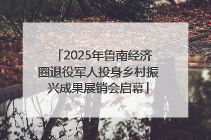 2025年鲁南经济圈退役军人投身乡村振兴成果展销会启幕