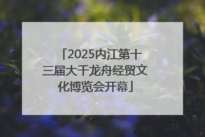2025内江第十三届大千龙舟经贸文化博览会开幕