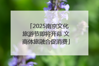 2025南京文化旅游节即将开幕 文商体旅融合促消费