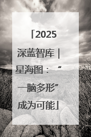 2025深蓝智库｜星海图：“一脑多形”成为可能