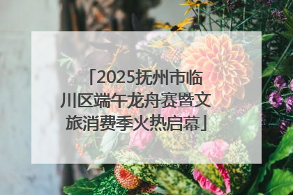 2025抚州市临川区端午龙舟赛暨文旅消费季火热启幕
