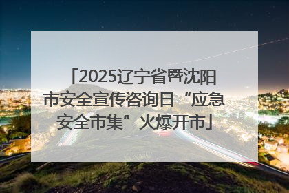 2025辽宁省暨沈阳市安全宣传咨询日“应急安全市集”火爆开市