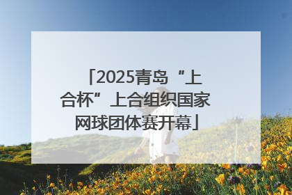 2025青岛“上合杯”上合组织国家网球团体赛开幕