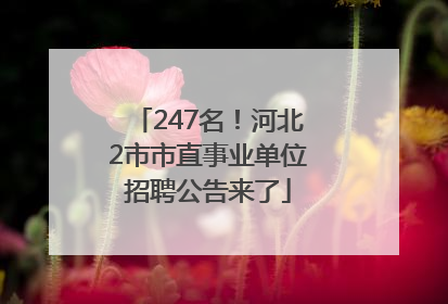 247名！河北2市市直事业单位招聘公告来了