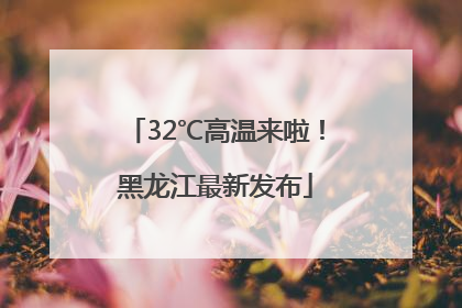 32℃高温来啦！黑龙江最新发布